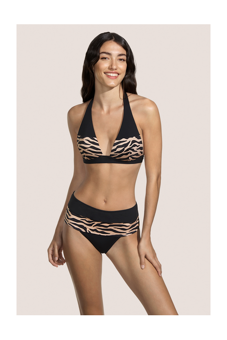 Full brief FRANCES